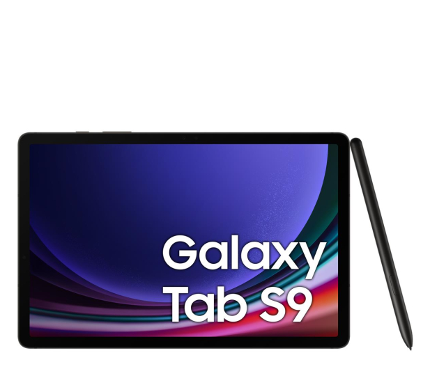 SAMSUNG Galaxy TAB S9 11" 8/128GB WiFi szary (SM-X710NZAAEUE) - 1158878 - zdjęcie 4